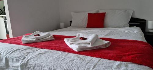 Tirgu Mures Apartment | Studio Elegance - Panoramic River View