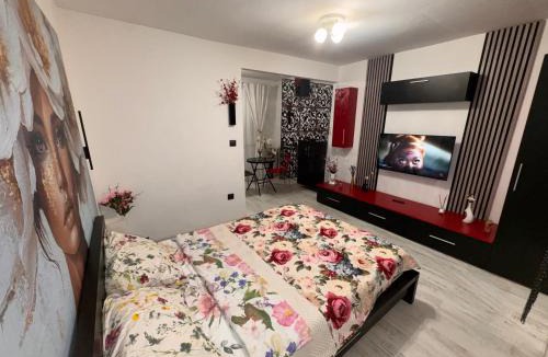 Craiova Apartment | Studio Mirabela