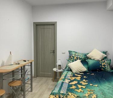 Suceava Apartment | Studio nr 1 confort entry direct from parking