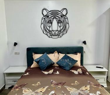 Dorohoi Apartment | Studio