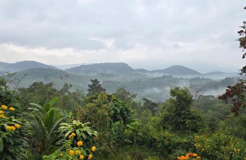 Elappara Hotel | Sumeru valley vagamon
