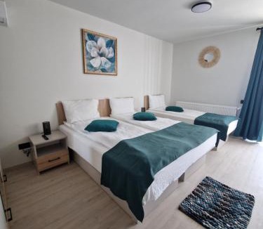 Constanta House | Sunny Family Vila Constanta