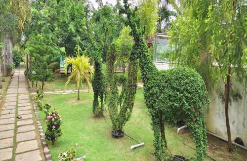 Kottapeta Resort | Sunrise Resorts