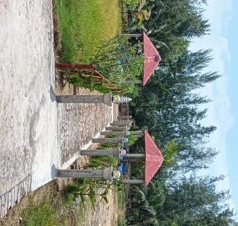 Tajpur Hotel | SWAPNASRI HOTEL & RESORT