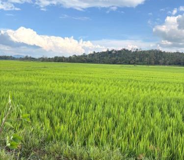 Sakleshpur House | Swasthiks Home stay