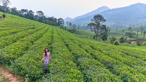 Elappara Villa | Sylora Meadows Private Pool Villa ,Vagamon