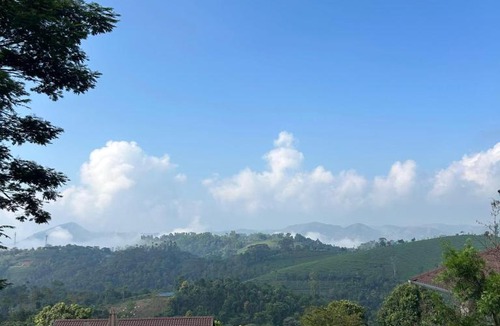 Elappara Hotel | Sylvan Retreat - Private Pool Villas, Vagamon