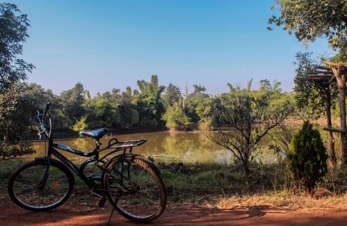 Tala Resort | Syna Tiger Resort Bandhavgarh