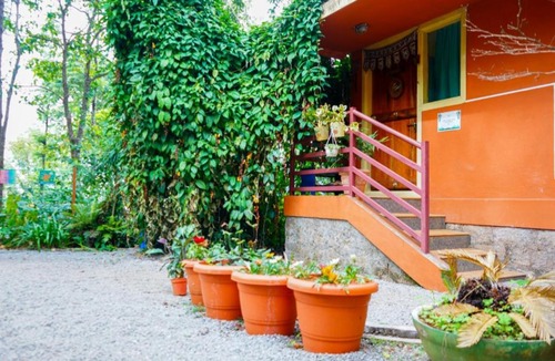Chikkamagaluru House | Tat Tvam Asi Organic Farm Stay - Parakeet