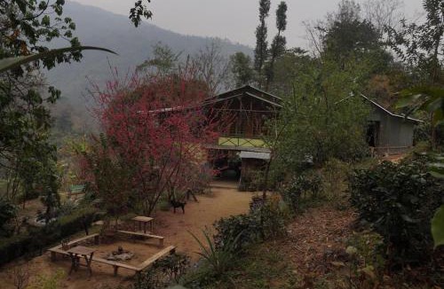 Lebong and Mineral Spring Tea Garden House | Tathagata Farm