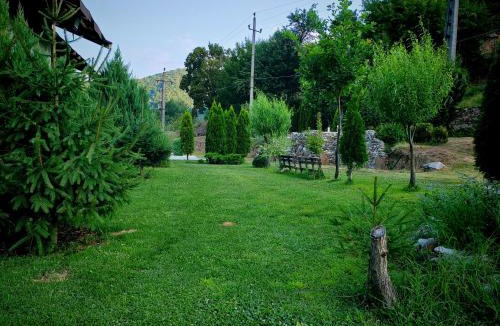 Izvoru Barzii Other | Taverna Gradetului