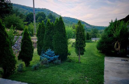 Izvoru Barzii Other | Taverna Gradetului