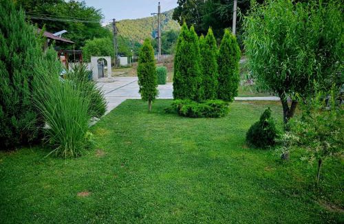 Izvoru Barzii Other | Taverna Gradetului