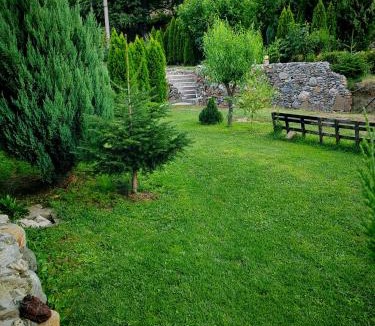 Izvoru Barzii Other | Taverna Gradetului