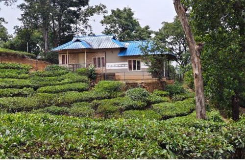 Elappara Villa | Tea Garden Cottage