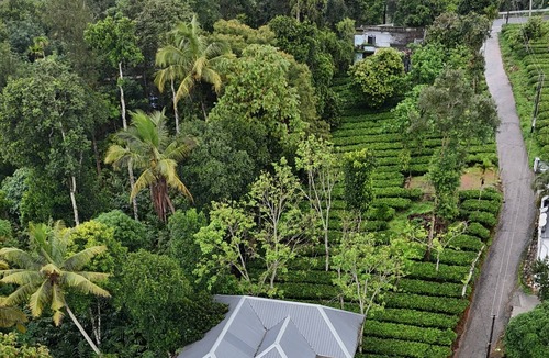 Devikolam Villa | Tea Haze Cottage Munnar