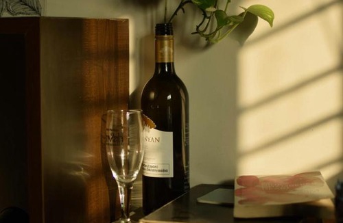 Kalkaji Apartment | The Bamboo Coco House