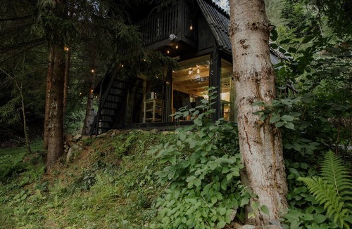 Bulz Cabin | The Blackbird Cabin