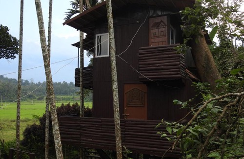 Virarajendrapet House | The Bliss Coorg