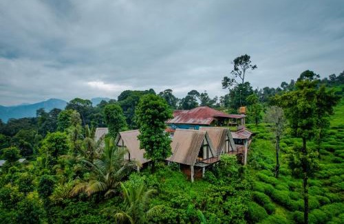 Samse House | The Breeze Cottage