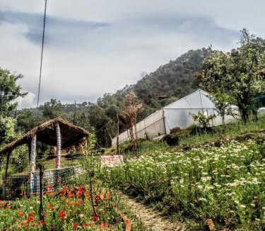Almora House | The Chakras Valley Homestay