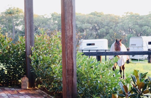 Somersby Cabin | The Charming Studio Escape to Somersby – A Peaceful, Pet-Friendly Retreat