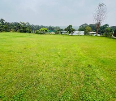 Agara Other | The Fairy Tale Farms
