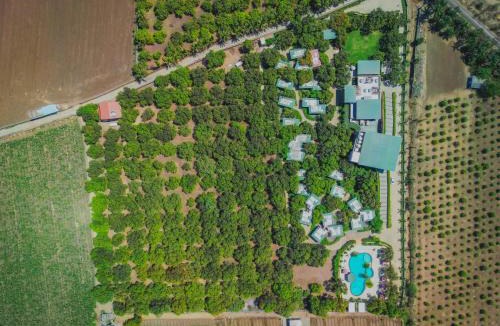 Talala Hotel | The Forest Chapter by Sayaji Sasan Gir