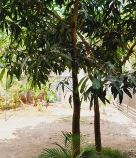 Varkala Hotel | The Haira Retreat