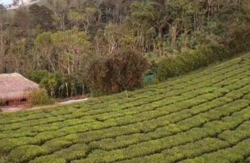 Elappara Villa | The Hidden Peaks - Mud house cottage