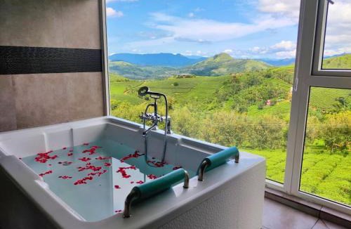 Elappara Resort | The Highlander
