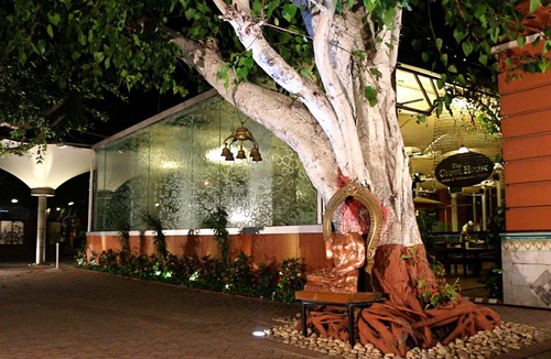 Ahmedabad City Centre Hotel | The House of MG