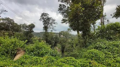 Mahadevpet Apartment | The Janani city view stay madikeri