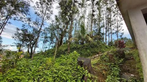 Mahadevpet Apartment | The Janani city view stay madikeri