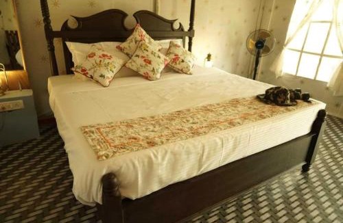 Sawai Madhopur Resort | The Jungle Enclave Boho