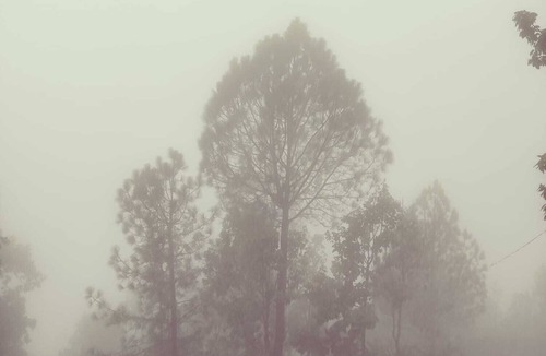 Lansdowne Villa | The Lans Mist- A Perfect Getaway for your Vacation