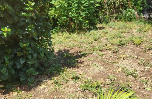 Homa Bay Bed & Breakfast | The Mimaced Homes 2B