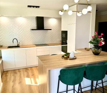 Tirgu Mures Apartment | The Modern Loft