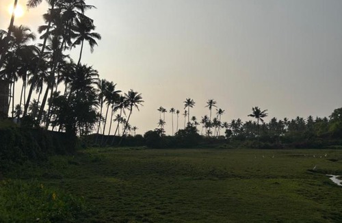 Varkala Hotel | The Mystic Cliff Varkala