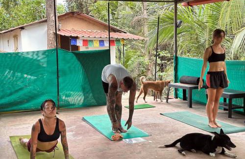 Agonda House | The Nivasa Project