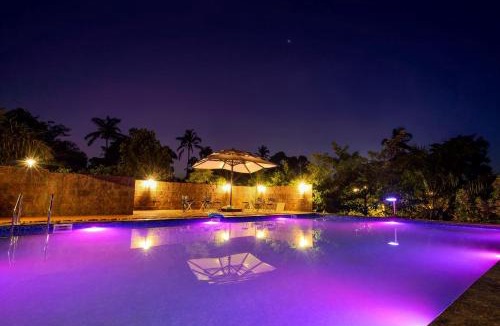 Bavda Resort | The Palmnest Resort
