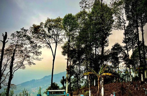 Tukdah Forest House | THE PARADISE PALM HOMESTAY