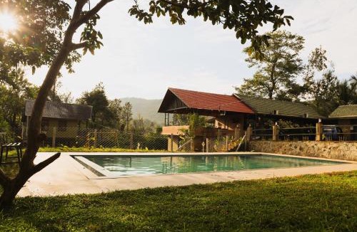 Tholpetty Cabin | The Rain Tree resort