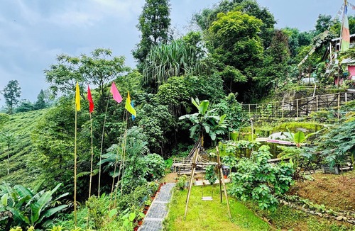 Darjeeling Cottage | The Tea Tribe Stay - Offbeat Darjeeling