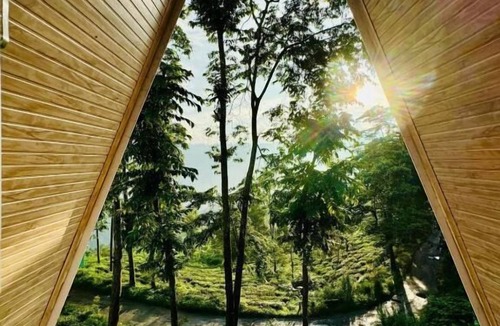 Darjeeling Cottage | The Tea Tribe Stay - Offbeat Darjeeling