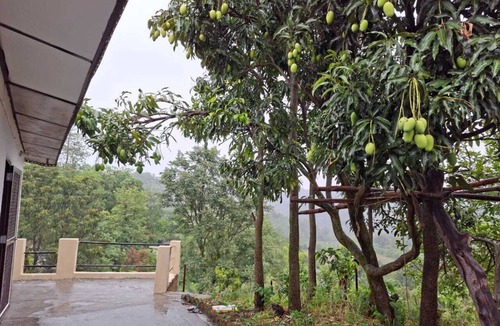 Chintpurni Bed & Breakfast | The Thanedar Sahib -100+ year-old, 4-bedroom Himachali-style homestay