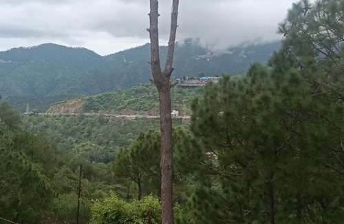 Dharampur Apartment | The Toy Train View 3BHK Villa With Pvt Balcony