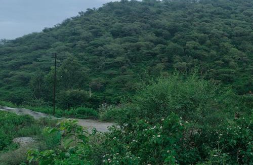Udaipur Hotel | The Udaipur villa 2 private Home stay with pool