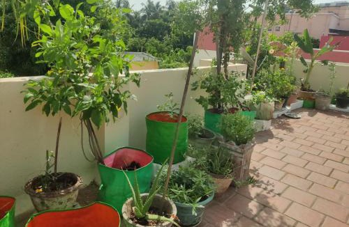 Chennai House | The Upper Deck