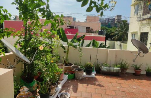 Chennai House | The Upper Deck